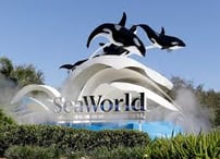 SeaWorld Orlando | Killer Whale Wiki ...